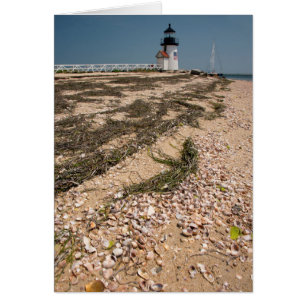 États-Unis, Massachusetts, Nantucket. Coquillage