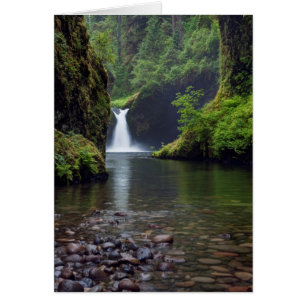 États-Unis, Oregon, Columbia River Gorge 5