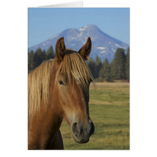 États-Unis, Oregon, Sœurs, vue sur Three Sisters,