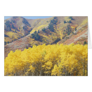 États-Unis, Utah, Forêt nationale de Wasatch-Cache