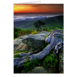 États-Unis, Virginie, Parc national de Shenandoah.