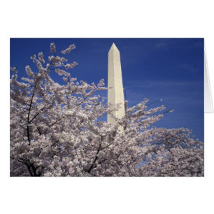 États-Unis, Washington DC. Festival des fleurs de