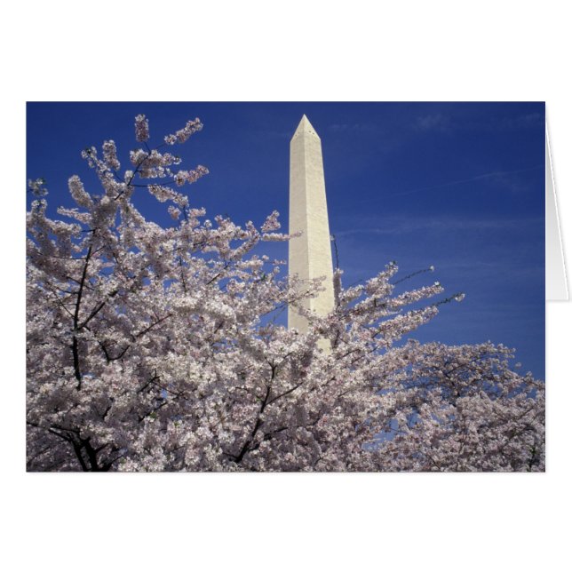États-Unis, Washington DC. Festival des fleurs de  (Devant horizontal)