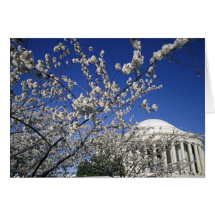 États-Unis, Washington DC. Festival des fleurs de 
