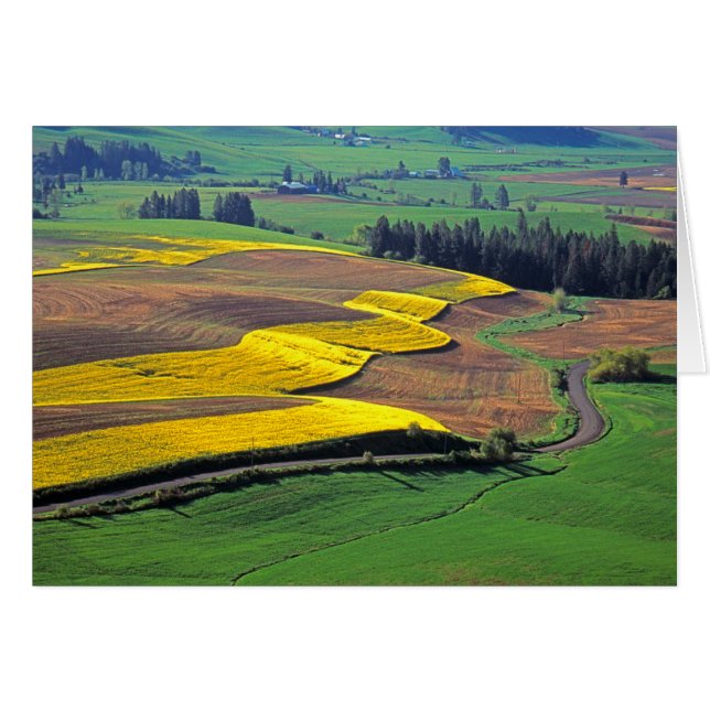 États-Unis, Washington, Palouse, comté de Whitman  (Devant horizontal)