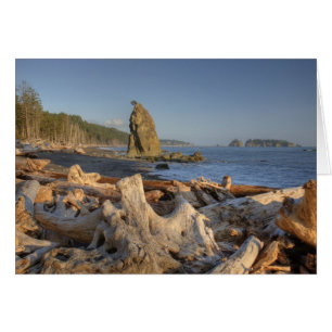 États-Unis, Washington, Parc national Olympique, R
