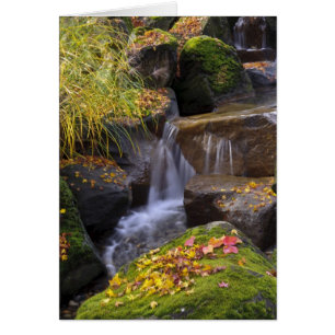 États-Unis, Washington, Seattle