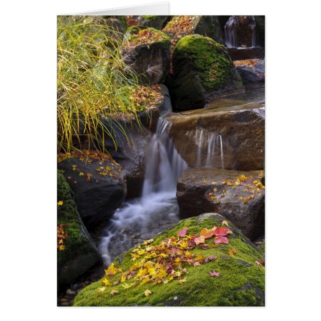 États-Unis, Washington, Seattle (Devant)
