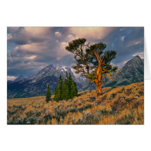 États-Unis, Wyoming, Grand Teton NP. Le lever de s