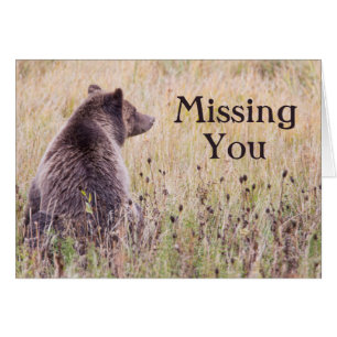 États-Unis, Wyoming, Parc national de Yellowstone,