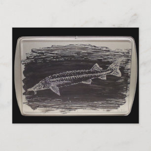 Etching - Sterlet Sturgeon Briefkaart