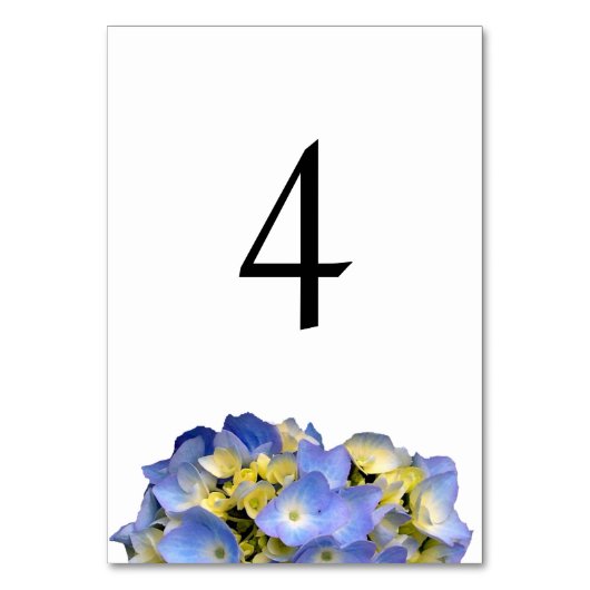 Été Bleu Double Côté Tableau Numéro Cartes (Dos)