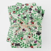 Été - Bugs dame, papillons et Feuilles (En situation)