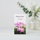 Été ! Cartes de visite de champ de marguerites de (Debout devant)