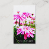 Été ! Cartes de visite de champ de marguerites de (Dos)