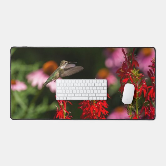 Été doux (Clavier et souris)