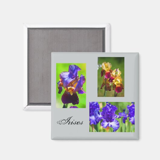 Été Iris Magnet (Recto/Verso)