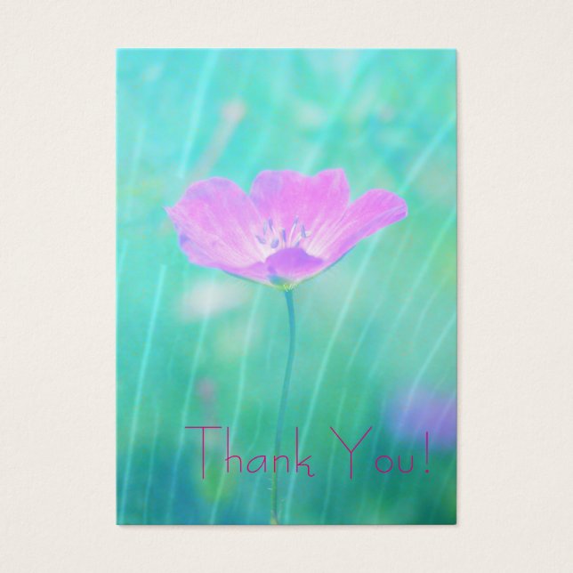 été sans fin (Devant)