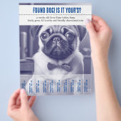 Éteindre le prospectus de vente trouvé (main)