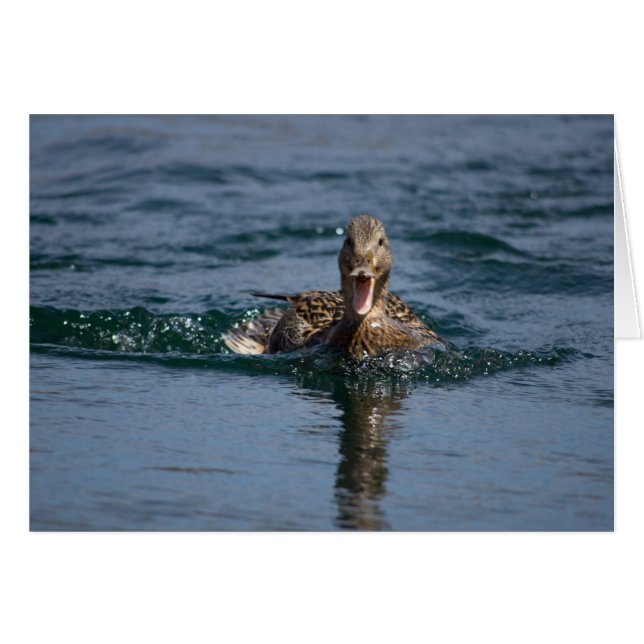 Eten met open bek (Voorkant Horizontaal)