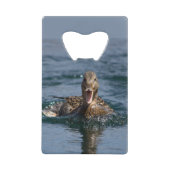 Eten met open bek kredietkaart flessenopener (Voorkant)