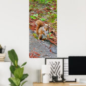 Eten van eekhoorntjes poster (Thuiskantoor)