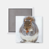 Eten van een foto van een nut magneet (Voorkant / Achterkant)