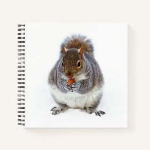 Eten van een Nut Notitieboek