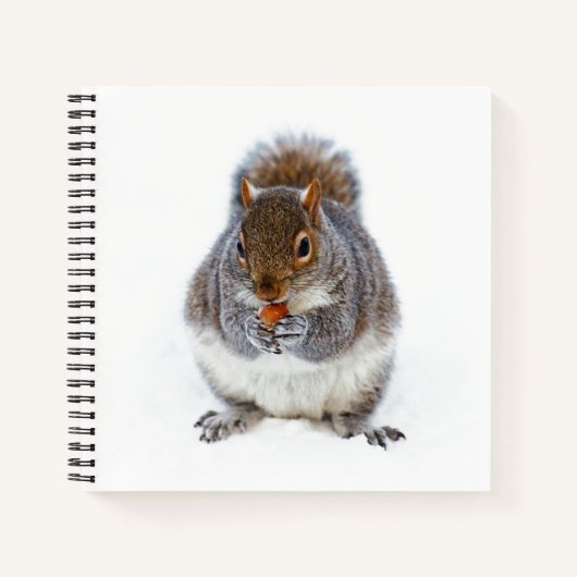 Eten van een Nut Notitieboek (Voorkant)