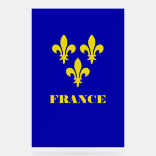 Étendard Royal Français Médiéval Fidélité Héraldiq