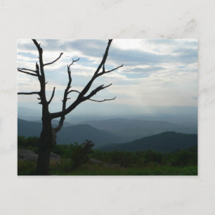 Étendre la carte postale