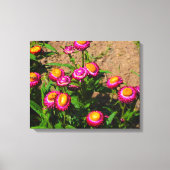 Éternel dans une impression sur toile de jardin de (Recto)