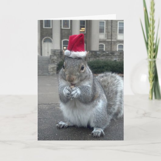 Éternuez la carte de Noël des écureuils (Devant)
