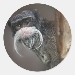Êtes-vous mon barbier ??? Autocollant