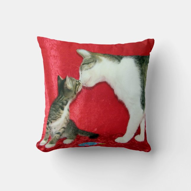 Êtes-Vous Mon Père Coussin (Recto)