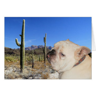 Êtes-vous sérieux ?