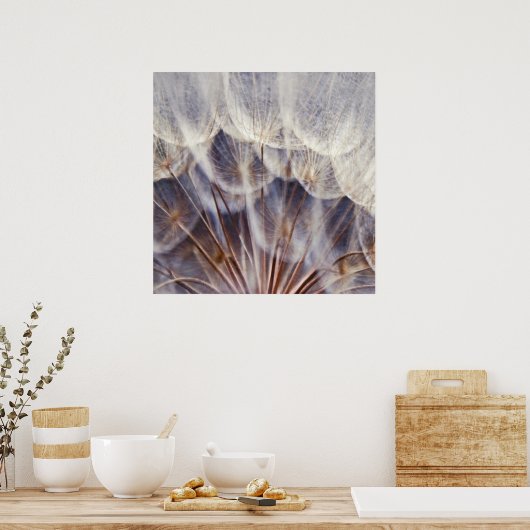 Etheral Dandalion Macro Abstract Poster (Keuken)