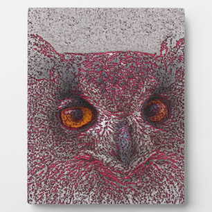 Etheral Owl Fotoplaat