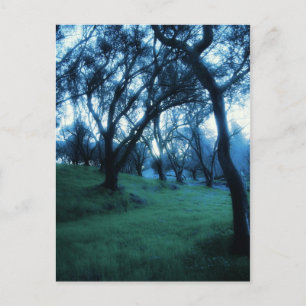 Etherial Moment Briefkaart