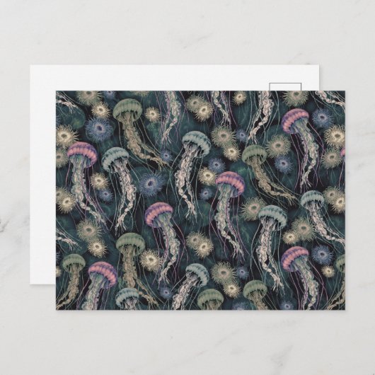 Etherische kwallen en anemonen in Blauwgroen en ro Briefkaart (Voorkant / Achterkant)