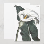 Ethiopian Calla Lily Botanical Illustratie Bedankkaart (Voorkant / Achterkant)
