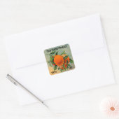 Etiket 2 Sinaasappels (Envelop)
