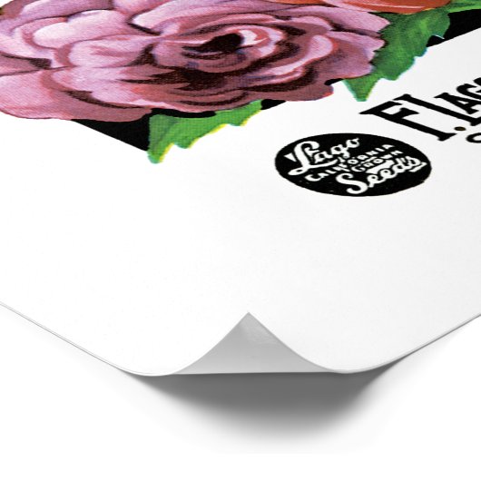 Etiket Balsam-pakket Poster (Hoek)