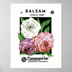Etiket Balsam-pakket Poster