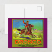 Etiket Bronco fruit uit de jaren 1920 Briefkaart (Voorkant / Achterkant)