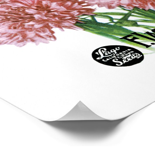 Etiket Button van de bachelor Poster (Hoek)