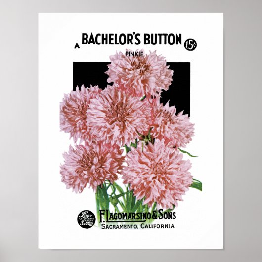 Etiket Button van de bachelor Poster (Voorkant)