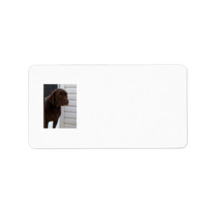 Etiket "Chocolade Lab Avery"