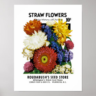 Etiket stro Flowers Seed Packet Label Poster
