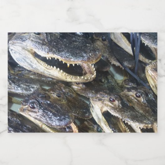 Etiket voor alligatorflesje (Enkel label)